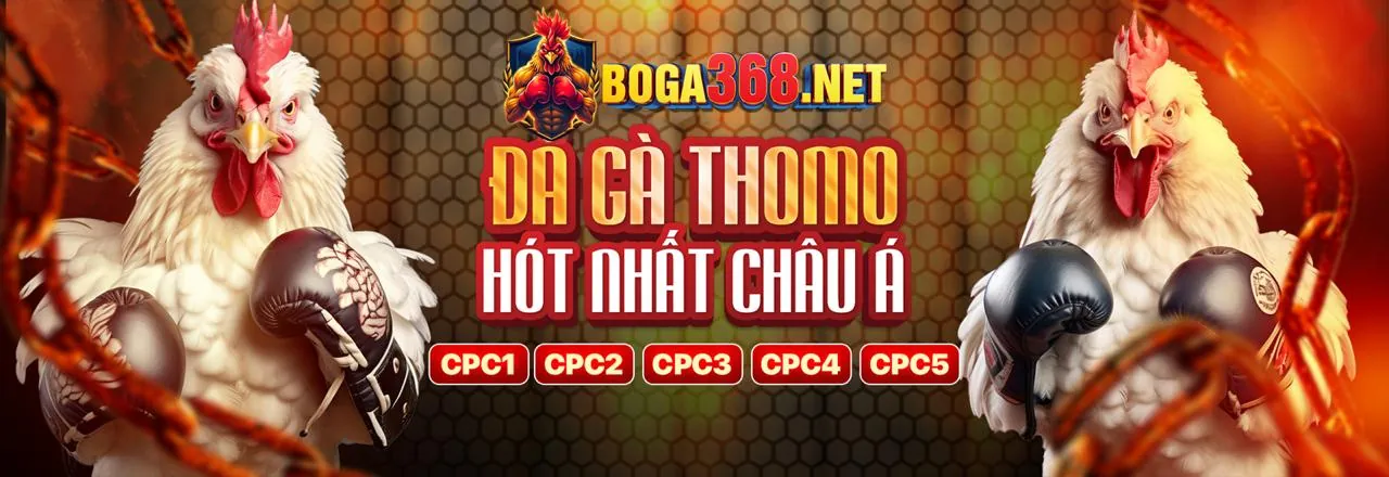 Sân vận động bóng đá với khán giả hân hoan và màn hình hiển thị tỷ lệ kèo của rio66 nổ hũ